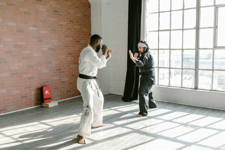 Two martial artists practicing combat techniques in a sunlit dojo.